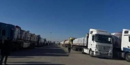 168 شاحنة مساعدات إنسانية تغادر معبر رفح إلى كرم أبو سالم لدعم قطاع غزة - تواصل نيوز