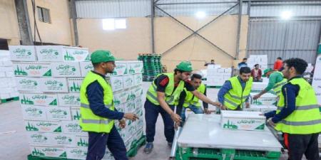 الأورمان تبدأ توزيع 800 ألف كرتونة مواد غذائية للأولى بالرعاية بمحافظات الجمهورية - تواصل نيوز