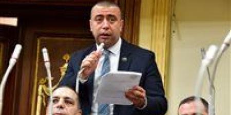 النائب أحمد بهاء شلبي: لجنة الصناعة تعتمد خطة مختلفة قائمة على العمل الميداني والاستماع للمصنعين - تواصل نيوز