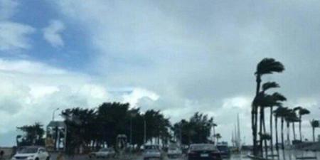 حالة الطقس غدا.. انخفاض بدرجات الحرارة وشبورة كثيفة والصغرى بالقاهرة 10 درجات - تواصل نيوز