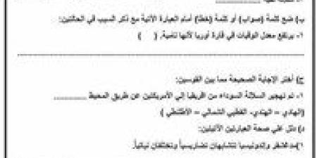 نموذج امتحان الدراسات الاجتماعية للصف الثالث الإعدادي 2026.. اطلع الآن - تواصل نيوز