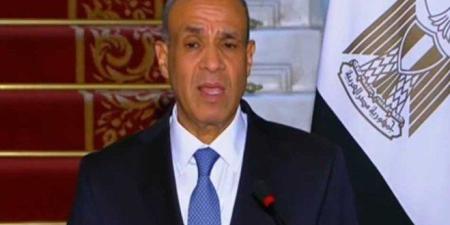 غدًا.. وزير الخارجية المصري يلتقي رئيس اللجنة الوطنية لإدارة غزة - تواصل نيوز