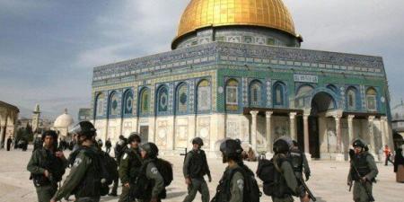 مئات المستوطنين يقتحمون باحات الأقصى.. واعتقال مالا يقل عن 24 فلسطينيا من الضفة - تواصل نيوز