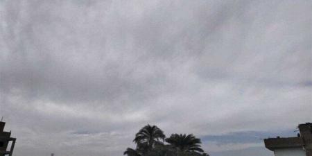 أمطار ورياح وبرودة.. «الأرصاد الجوية» تعلن حالة الطقس اليوم الإثنين 19-1-2026 - تواصل نيوز