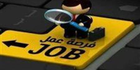 2200 فرصة عمل وحملات ذكية ومنح نقدية.. وزارة العمل تفتح أبواب التشغيل والدعم في كل المحافظات - تواصل نيوز