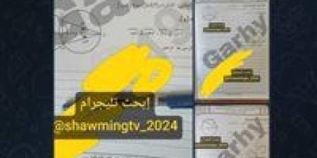 تداول امتحانات الشهادة الإعدادية على تليجرام اليوم بعد بدء اللجان.. والتعليم تتابع - تواصل نيوز