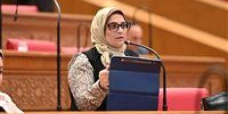 نجلاء العسيلي: قمة السيسي وأفورقي تؤكد ريادة مصر في حماية أمن البحر الأحمر وصياغة توازنات الاستقرار بالمنطقة - تواصل نيوز