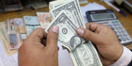 سعر الدولار اليوم الاثنين 8 يونيو 2026.. بكام مقابل الجنيه؟ - تواصل نيوز