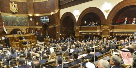 مجلس الشيوخ يوافق على مشروع قانون خطة التنمية الاقتصادية 26/27 - تواصل نيوز