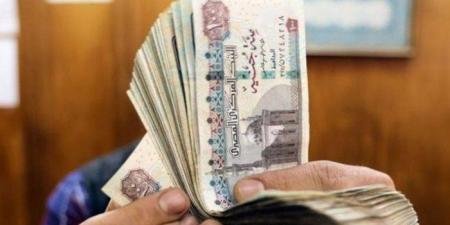 مصر تستعد لتطبيق زيادة الحد الأدنى للأجور إلى 8000 جنيه بدءًا من يوليو.. كم سيزيد راتبك؟ - تواصل نيوز