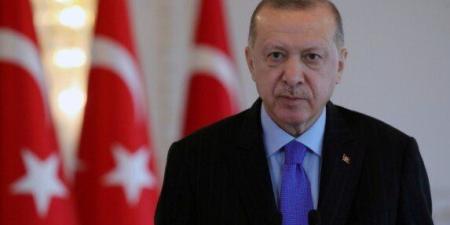 أردوغان: الهجمات الإسرائيلية على سوريا ولبنان أصبحت تشكل تهديدًا مباشرًا لتركيا - تواصل نيوز