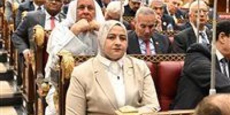أمين سر طاقة الشيوخ: سداد مستحقات شركاء البترول نقطة تحول تاريخية لدعم الاستثمار وزيادة الإنتاج - تواصل نيوز