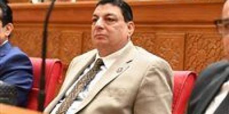 سامي نصرالله: تأكيد الرئيس السيسي دعم وحدة السودان يجسد الدور المصري المحوري في حماية أمن واستقرار المنطقة - تواصل نيوز