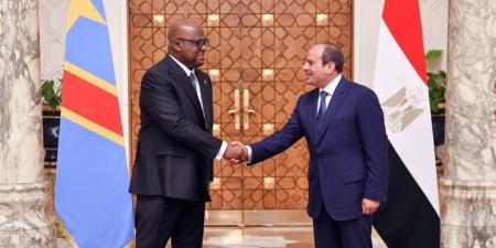 الرئيس السيسى يصدّق على قانون باستمرار الدورة النقابية لمدة 6 أشهر - تواصل نيوز