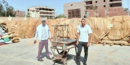 مطاحن أسيوط تتسلم 237 ألف طن قمح منذ انطلاق موسم التوريد - تواصل نيوز