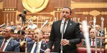 النائب عادل السكري يشيد باستجابة الحكومة لمقترحاته بالتيسير على المواطنين في ملف العدادات الكودية - تواصل نيوز