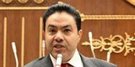 الشرقاوي: حماية المستهلك المصري يجب أن تظل أولوية عند التوسع في تصدير الدواجن - تواصل نيوز