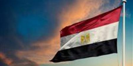 «تصعيد عسكري خطير بالمنطقة».. مصر تعلن تضامنها الكامل مع الأردن والخليج في مواجهة الهجمات الإيرانية - تواصل نيوز