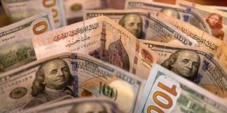 سعر الدولار الأمريكي أمام الجنيه المصري اليوم الأربعاء 19 يونيو 2026 - تواصل نيوز
