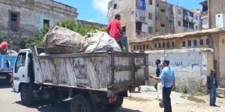 محافظة الإسكندرية تطلق حزمة إجراءات ميدانية لتحسين النظافة وتكثف حملاتها لمواجهة النباشين - تواصل نيوز