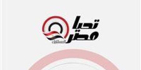 نادر نور: محمود العسيلي قالي الأغنية دي مش لوني وحصل تواصل بيني وبين تركي آل الشيخ - تواصل نيوز