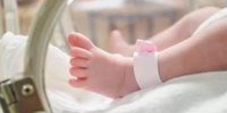 4 اشخاص مسؤولة لضمان تسجيل رسمي خلال 15 يوما.. قانون الطفل ينظم الإبلاغ عن المواليد - تواصل نيوز