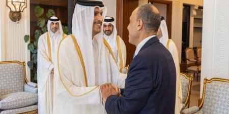 مصر وقطر تبحثان تطورات الأزمة الإيرانية وتؤكدان أهمية أمن الخليج - تواصل نيوز
