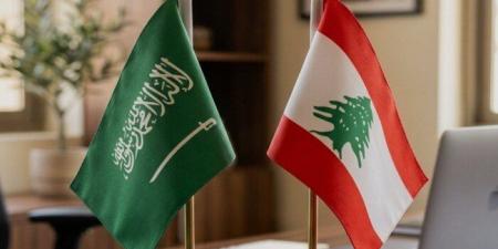 تعاون أمني سعودي - لبناني يحبط تهريب 3.9 ملايين قرص مخدر ويطيح بالمتورطين - تواصل نيوز