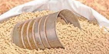 عبر المخلفات الزراعية.. كيف يساهم الاقتصاد الدائري الأخضر في سد فجوة الأعلاف؟ - تواصل نيوز