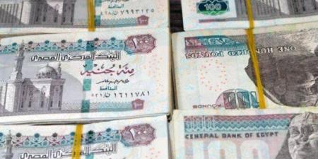 بعائد 22%.. شهادات الادخار في بنك مصر والبنك الأهلي أونلاين - تواصل نيوز