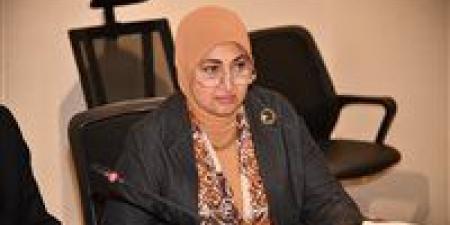 ثريا البدوي تتقدم بطلب إحاطة للحكومة لوضع ضوابط للتعامل مع محتوى مواقع التواصل الاجتماعي - تواصل نيوز