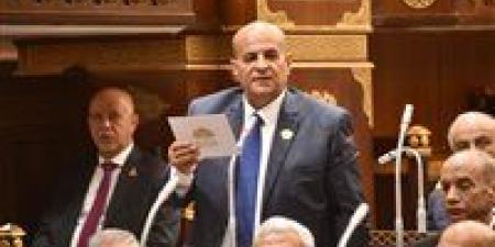 أحمد الجهمي لـ تحيا مصر: 12 مليار دولار استثمارات مصرية بأفريقيا تعكس قوة الدولة.. وسد جوليوس نيريري في تنزانيا شاهد على عمق العلاقات - تواصل نيوز