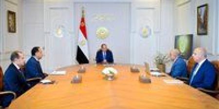 عاجل.. الرئيس السيسي يجتمع مع رئيس الوزراء ووزير الكهرباء - تواصل نيوز