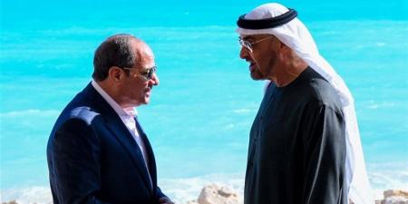 تفاصيل تطور العلاقات المصرية الإماراتية تزامنا مع قمة السيسي وبن زايد اليوم - تواصل نيوز
