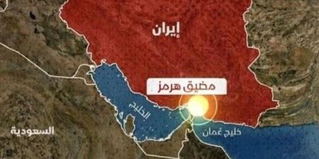 الجيش الإيراني يسقط مسيرة استطلاع فوق مضيق هرمز - تواصل نيوز
