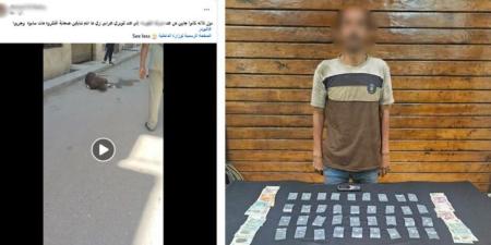 كشف ملابسات فيديو يظهر عاطل مسجى أرضاً تحت تأثير تعاطى المواد المخدرة بالقليوبية - تواصل نيوز