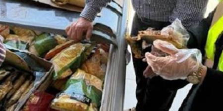حملات رقابية بطور سيناء.. إعدام 412 كيلو و58 لترًا وضبط أغذية منتهية الصلاحية - تواصل نيوز