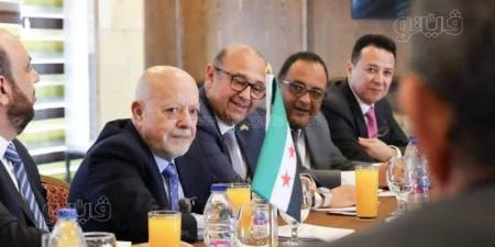 محمد سعدة: مصر ستقدم كافة خبراتها وإمكانياتها إلى سوريا - تواصل نيوز
