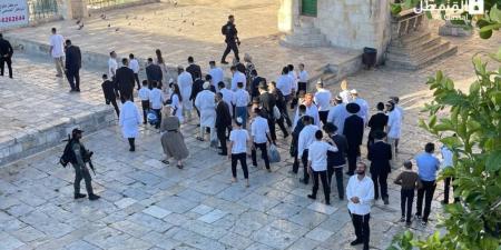 تصعيد خطير.. البرلمان العربي يدين اقتحامات المسجد الأقصى - تواصل نيوز