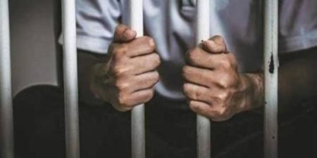 5 مشاهد في جريمة أبوتشت، عصا خشبية تنهي حياة مسن داخل قرية الرزقة وحبس المتهم - تواصل نيوز