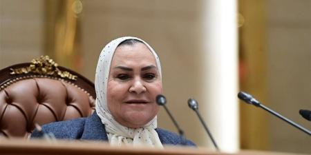 نائبة تكشف شروط تقديم مشروعات القوانين للبرلمان - تواصل نيوز