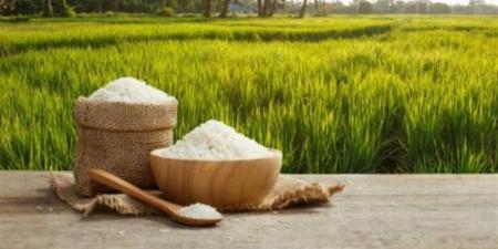 تعرف على سعر الأرز في السوق المحلي اليوم الثلاثاء - تواصل نيوز