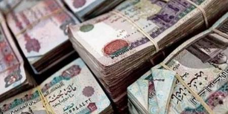 رسميا.. موعد صرف مرتبات شهر سبتمبر 2026 للعاملين بالدولة - تواصل نيوز