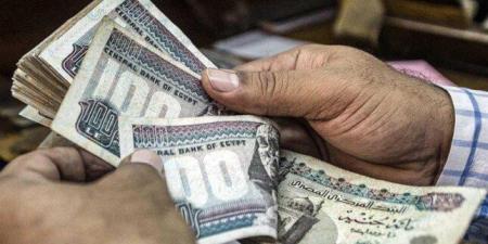 خبير اقتصادي: تثبيت الفائدة هو السيناريو الأرجح في اجتماع المركزي المقبل - تواصل نيوز