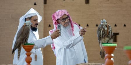مهرجان الصقور يخصص 3 أشواط للصقور المنغولية المبيعة في المعرض الدولي - تواصل نيوز