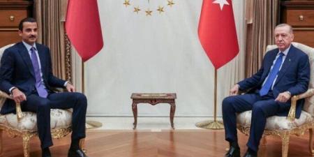 مباحثات قطرية تركية لسبل دعم العلاقات الاستراتيجية بين البلدين - تواصل نيوز