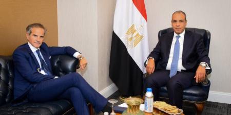 وزير الخارجية يلتقي المدير العام للوكالة الدولية للطاقة الذرية المرشح لمنصب سكرتير عام الأمم المتحدة - تواصل نيوز