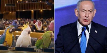 «ببغاوات هذا العام».. بنيامين نتنياهو يسخر من قادة العالم بفيديو بالذكاء الاصطناعي - تواصل نيوز