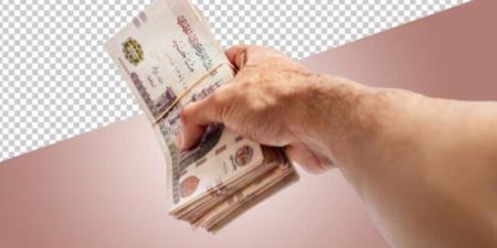«استثمر فلوسك صح».. تعرف على شهادات الادخار في البنوك قبل قرار الفائدة - تواصل نيوز