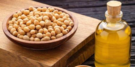 دراسة تثير الجدل.. هل يرتبط زيت الصويا بزيادة خطر سرطان المثانة؟ - تواصل نيوز